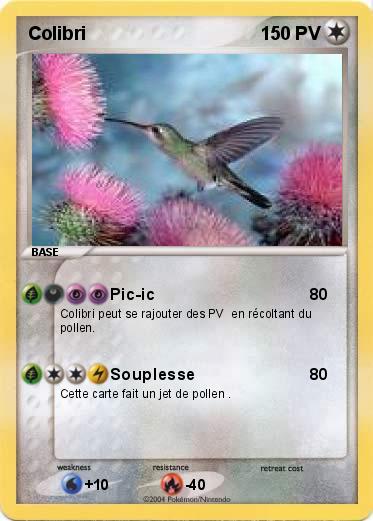 Pokemon Colibri