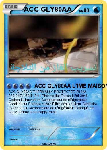 Pokemon ACC GLY80AA