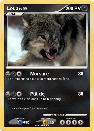 Pokemon Loup