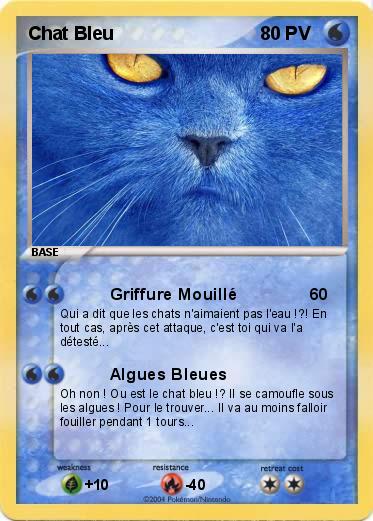 Pokemon Chat Bleu