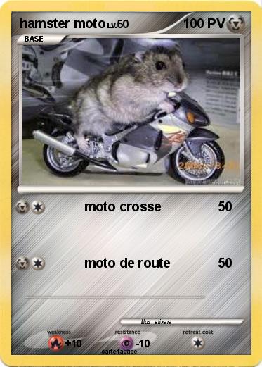 Pokemon hamster moto