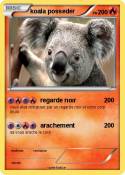 koala posseder