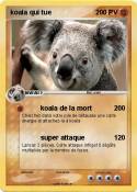 koala qui tue