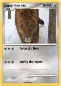 jaguar-lion mix
