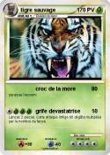 tigre sauvage
