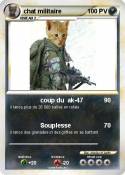 chat militaire