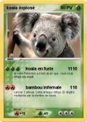 koala éxplosé