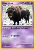 chien bison