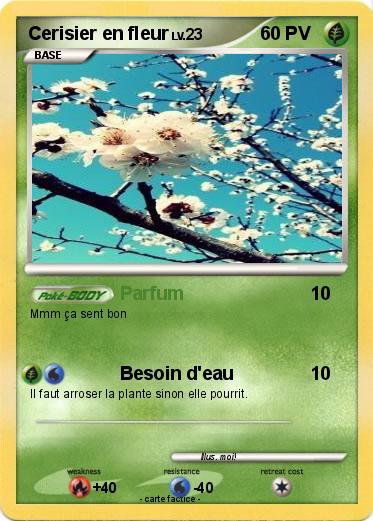 Pokemon Cerisier en fleur