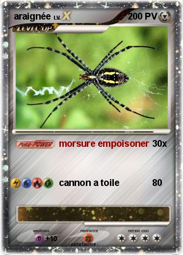 Pokemon araignée