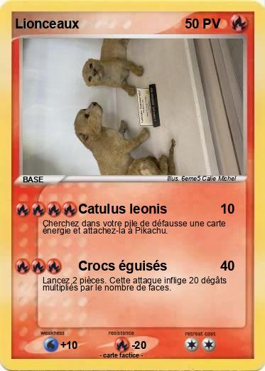 Pokemon Lionceaux
