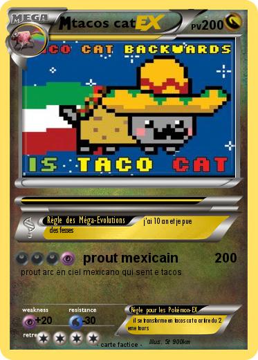 Pokemon tacos cat