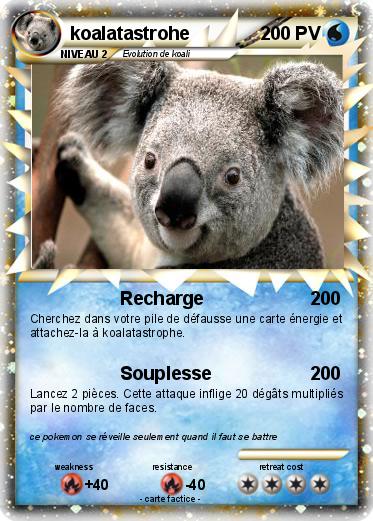 Pokemon koalatastrohe