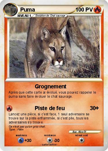 Pokemon Puma