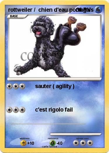 Pokemon rottweiler /  chien d'eau portugais