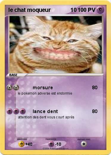 Pokemon le chat moqueur             10