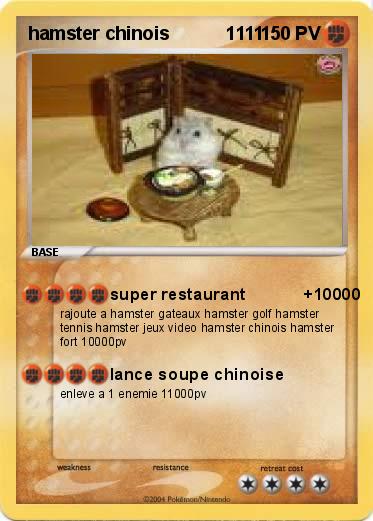 Pokemon hamster chinois           1111