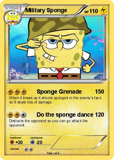 Pokemon Military Sponge