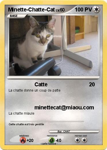 Pokemon Minette-Chatte-Cat
