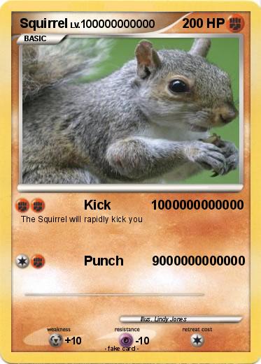 squirrel pokemon