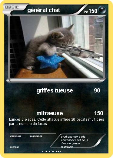 Pokemon général chat