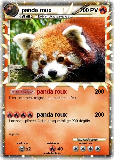 Pokemon panda roux