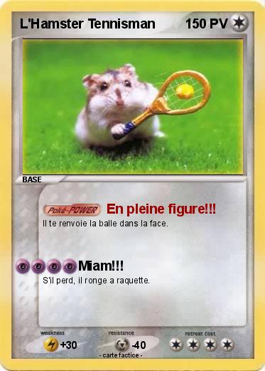 Pokemon L'Hamster Tennisman