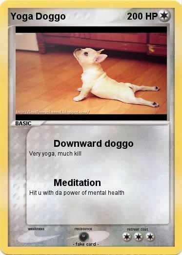 Pokemon Yoga Doggo