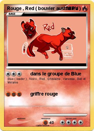 Pokemon Rouge , Red ( bouvier australien )