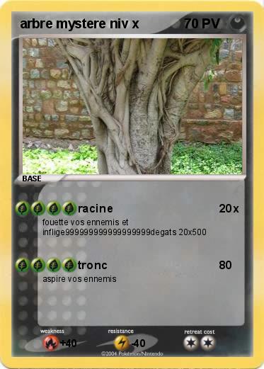 Pokemon arbre mystere niv x