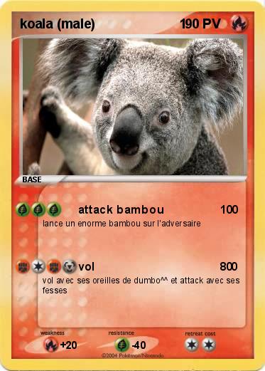 Pokemon koala (male)                       1