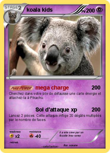 Pokemon koala kids