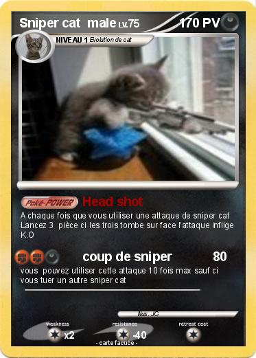Pokemon Sniper cat  male
