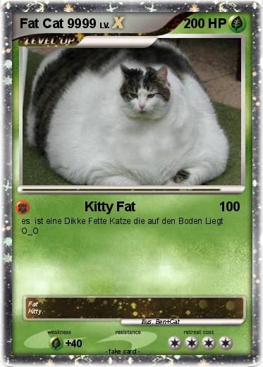 Pokemon Fat Cat 9999