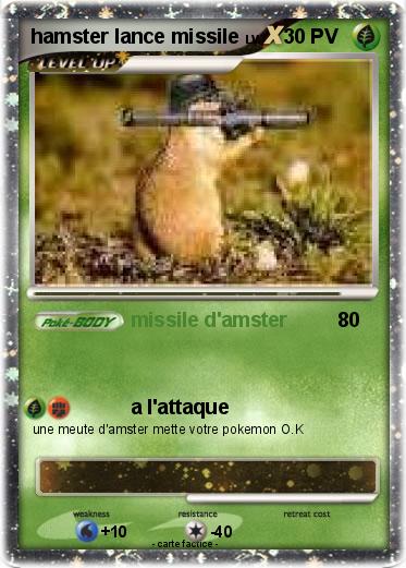 Pokemon hamster lance missile
