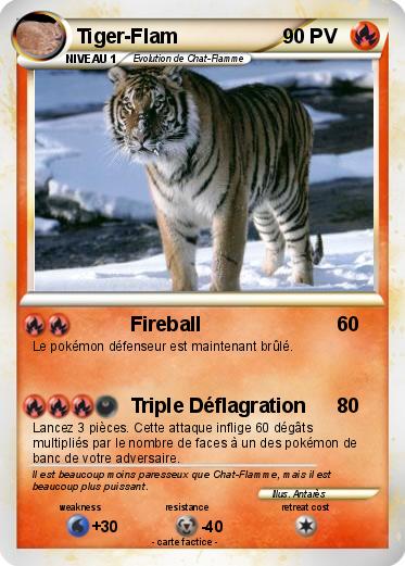 Pokemon Tiger-Flam