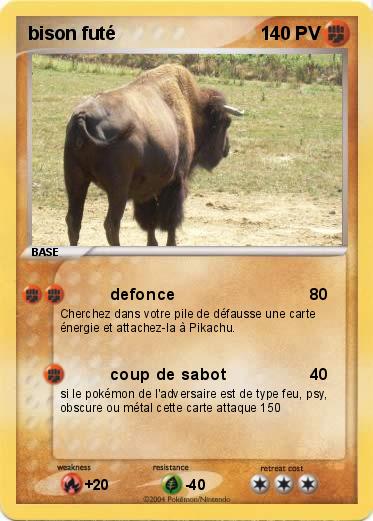 Pokemon bison futé