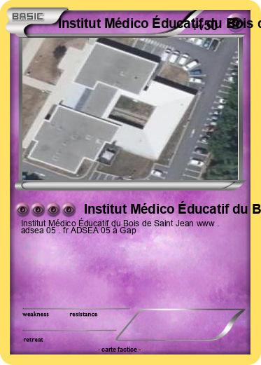 Pokemon Institut Médico Éducatif du Bois de Saint Jean ADSEA 05 à Gap