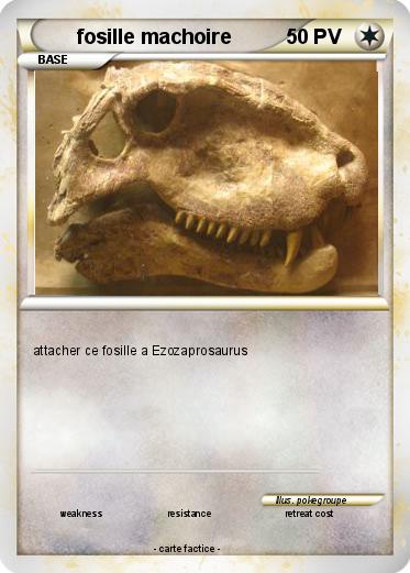 Pokemon fosille machoire
