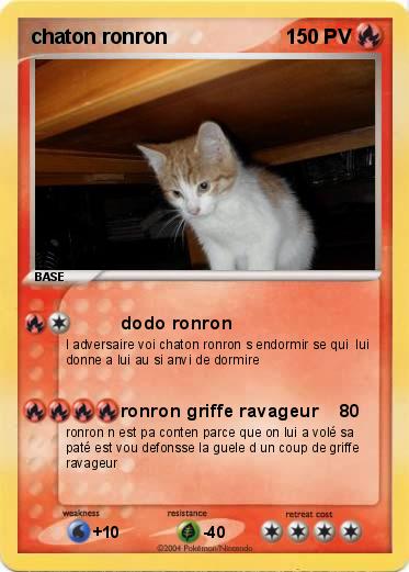 Pokemon chaton ronron