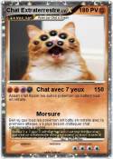 Chat Extraterre