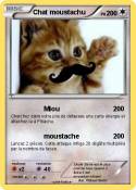 Chat moustachu