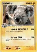 Koala King