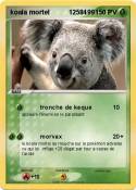koala mortel