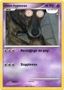 chien hypnose