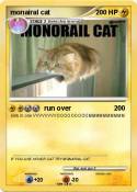 monairal cat