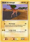 Girafe du seneg