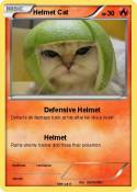 Helmet Cat