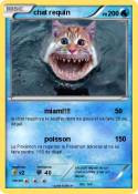 chat requin
