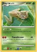Frog Cat